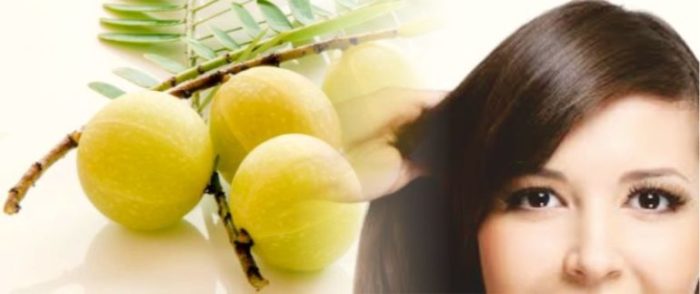 Benefits of Amla