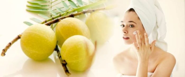 Benefits of Amla
