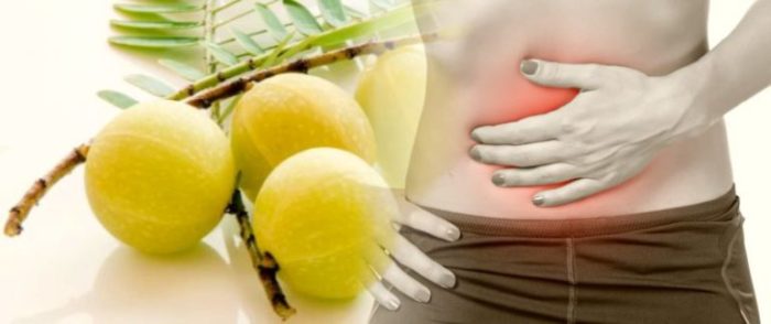 Benefits of Amla